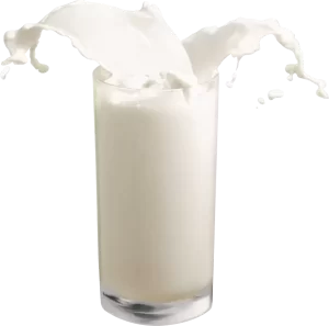 11 Fakte Te Bardha Per Qumeshtin 2