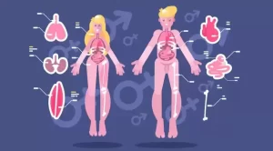 15 Fakte Interesante Per Trupin E Njeriut